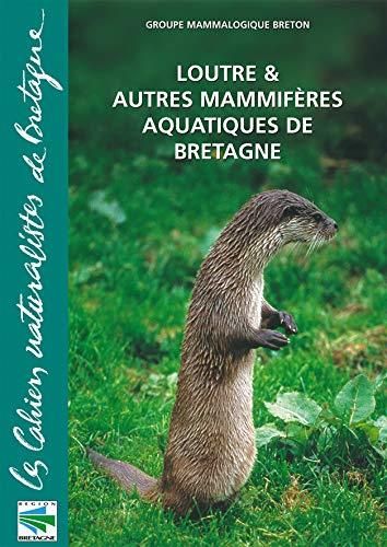 Loutre et autres mammifères aquatiques de Bretagne